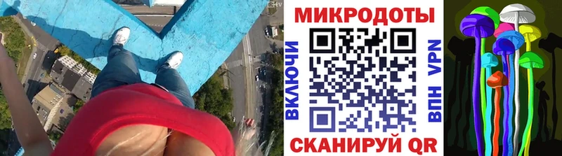 Галлюциногенные грибы прущие грибы  сколько стоит  Королёв 